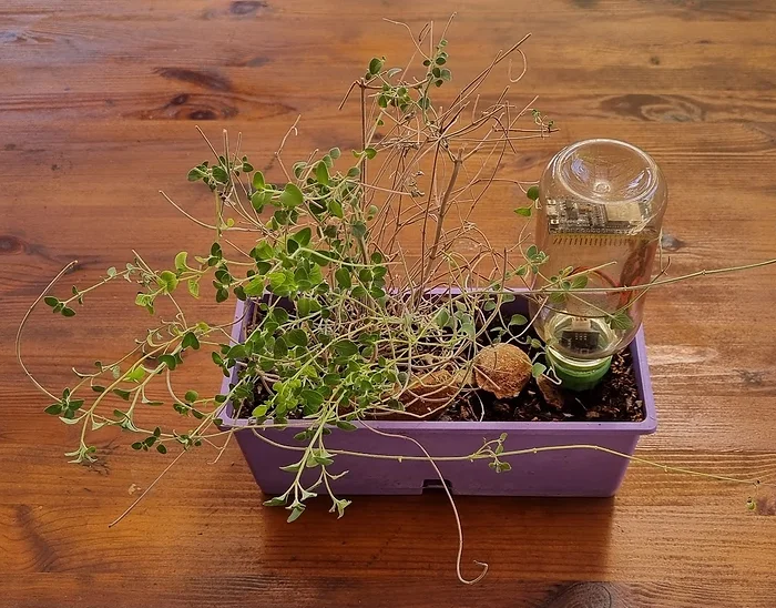 Herbs Light and Soil Sensor